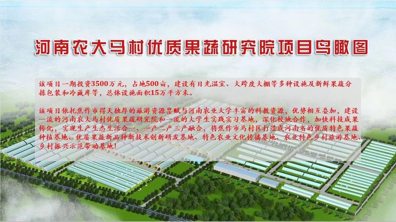 mmexport1666138761758.jpg